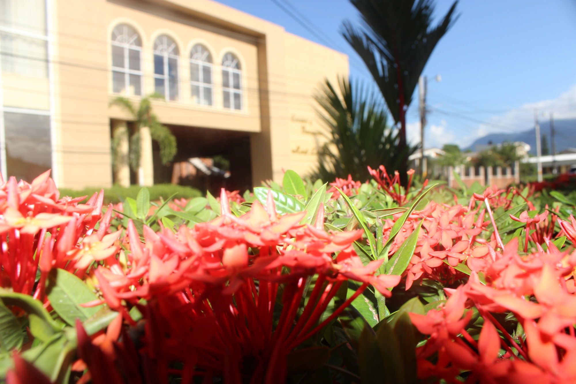 Hotel La Quinta La Ceiba Eksteriør bilde