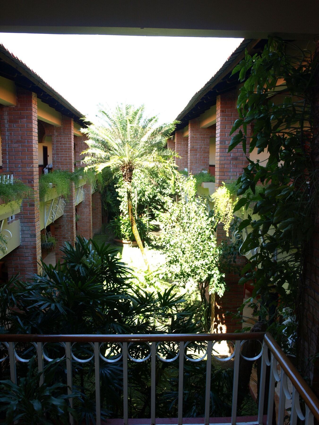 Hotel La Quinta La Ceiba Eksteriør bilde